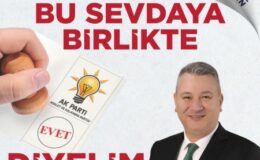 Çelik’ten vatandaşlara sandığa gitme çağrısı