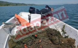 Sapanca Gölü’nde Hayalet Ağ Dehşeti: Yüzlerce Balık Telef Oldu