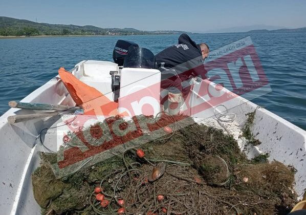 Sapanca Gölü’nde Hayalet Ağ Dehşeti: Yüzlerce Balık Telef Oldu