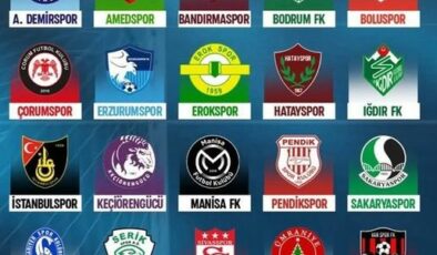 1.Lig şekillendi