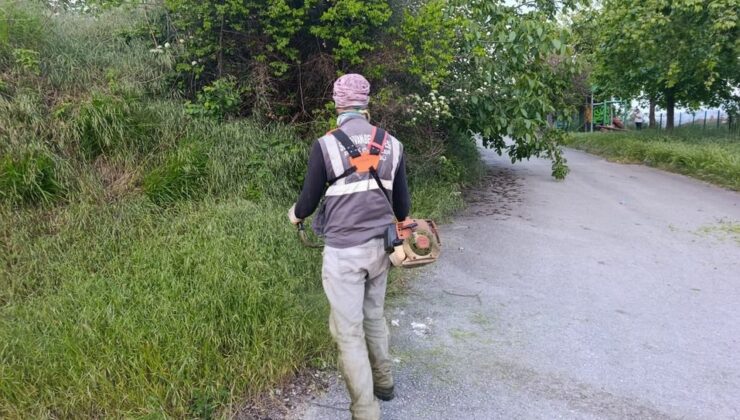 Serdivan’da Yeşil Alanlarda Yaz Mesaisi Başladı